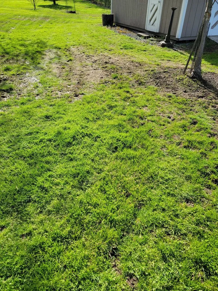 Local landscaping services for beautiful yards in Shrewsbury, MA by TLC The Lawn Company