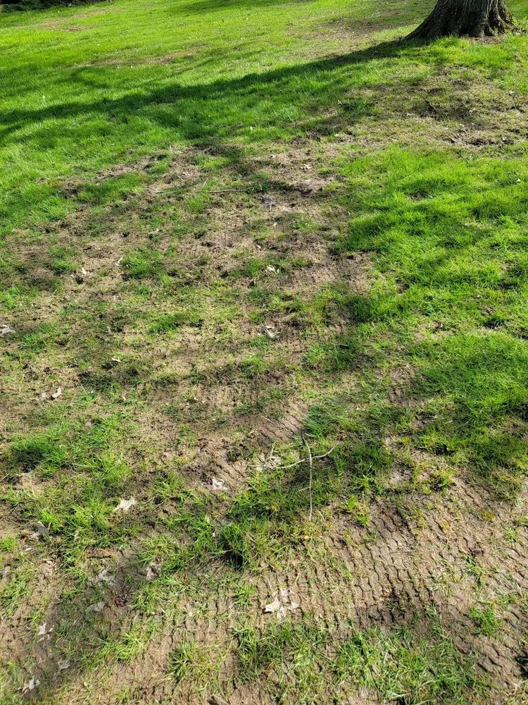 Professional residential landscaping in Shrewsbury, MA - TLC The Lawn Company