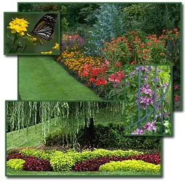 Local outdoor landscaping for year-round maintenance in Green Cove Springs, FL by TLC Total Lawn Care