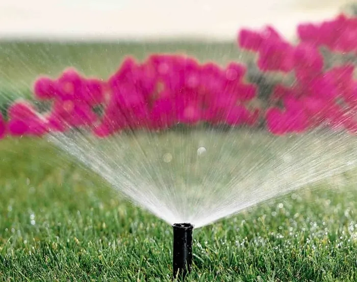 Trusted yard cleanup service near you in Green Cove Springs, FL by TLC Total Lawn Care