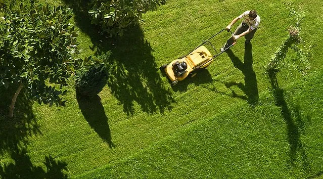 Reliable outdoor landscaping near you in St. George, UT by TLC Total Lawn Care