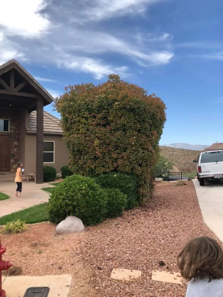 Professional landscaping services experts serving St. George, UT - TLC Total Lawn Care