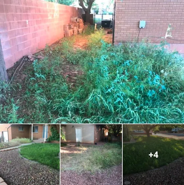 Custom lawn care service experts serving St. George, UT - TLC Total Lawn Care
