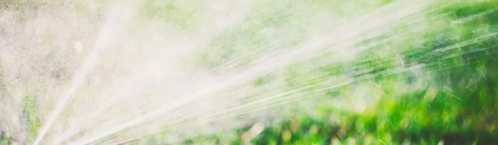 Affordable yard maintenance in St. George, UT by TLC Total Lawn Care