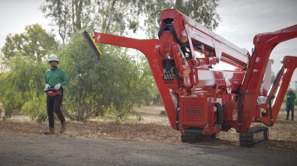 Custom lawn care service for beautiful yards in Sonoma, CA by TLC Tree & Landscape Care