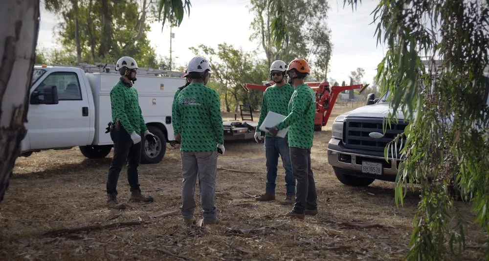 Reliable outdoor landscaping in Sonoma, CA - TLC Tree & Landscape Care