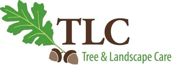 Local residential landscaping experts serving Sonoma, CA - TLC Tree & Landscape Care