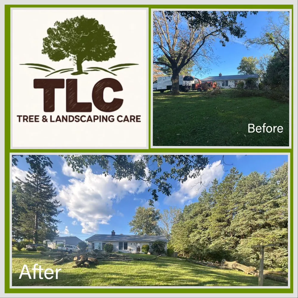 Reliable lawn mowing service in Coatesville, PA by TLC Tree & Landscaping Care
