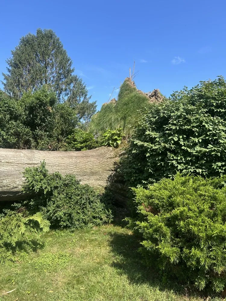 Top-rated residential landscaping experts serving Coatesville, PA - TLC Tree & Landscaping Care