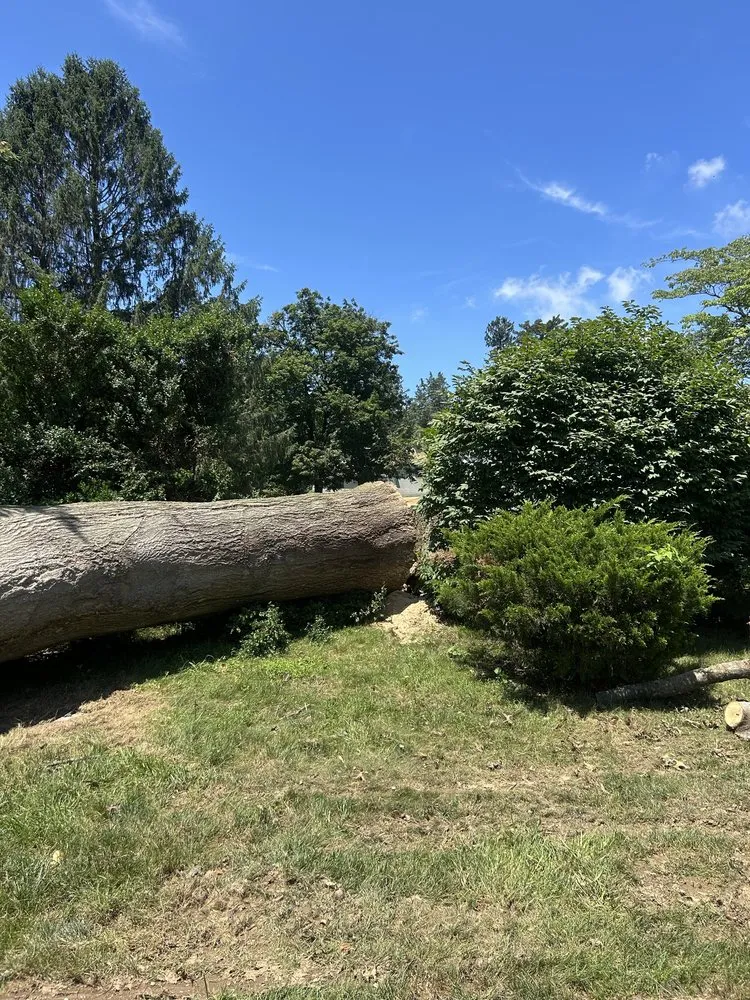 Local garden landscaping experts serving Coatesville, PA - TLC Tree & Landscaping Care