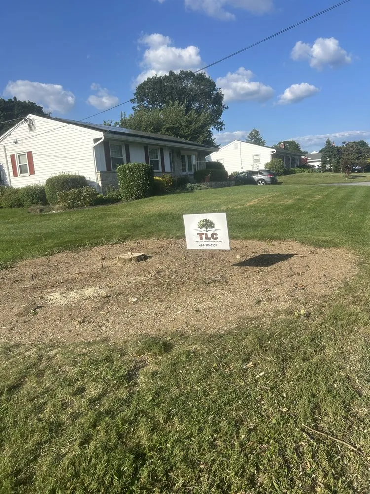 Professional residential landscaping in Coatesville, PA by TLC Tree & Landscaping Care