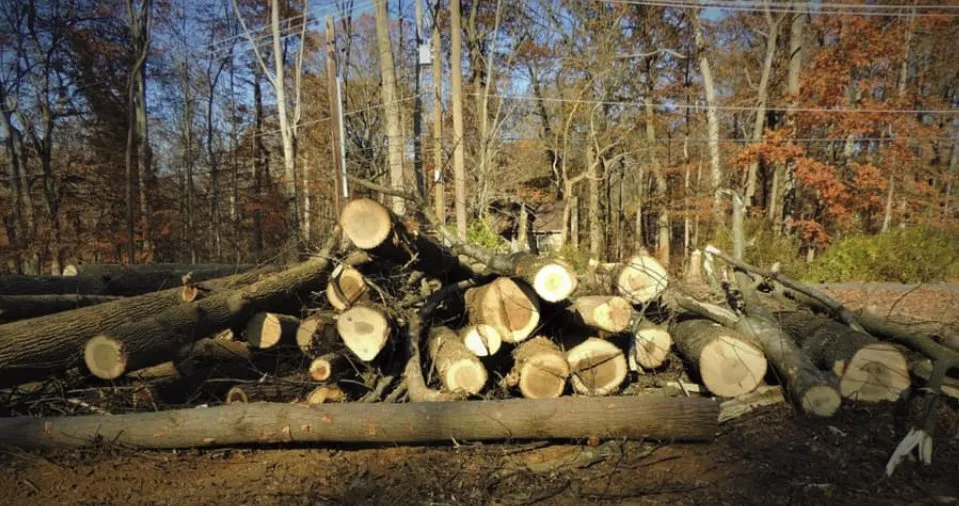 Affordable lawn mowing service near you in Coatesville, PA by TLC Tree & Landscaping Care