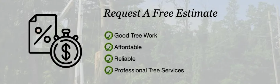 Trusted outdoor landscaping for year-round maintenance across Coatesville, PA - TLC Tree & Landscaping Care