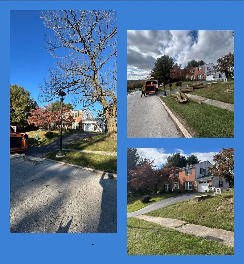 Affordable lawn care service near you across Coatesville, PA - TLC Tree & Landscaping Care