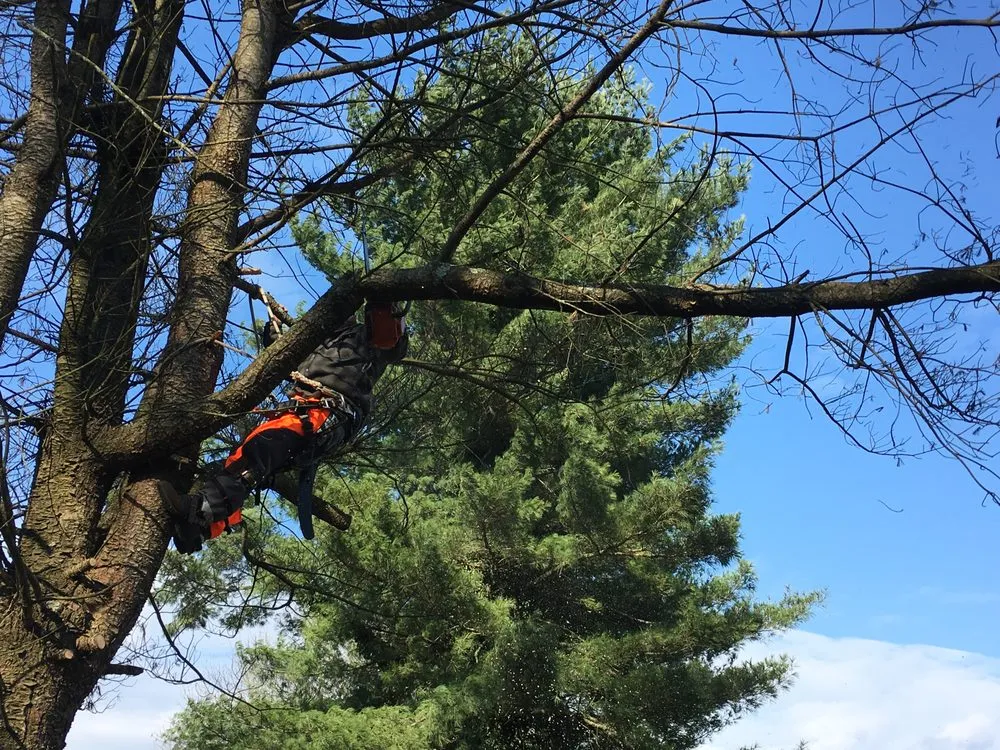 Reliable garden landscaping for residential properties in Coatesville, PA by TLC Tree & Landscaping Care