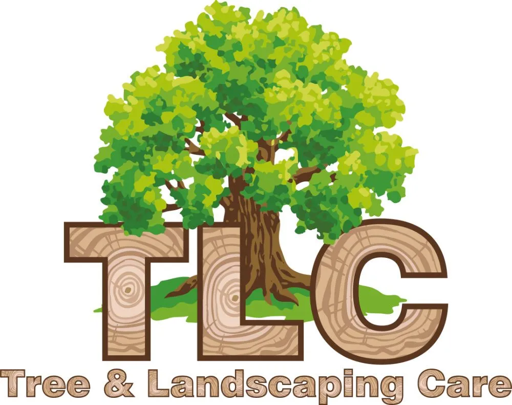 Top-rated lawn mowing service with custom design across Coatesville, PA - TLC Tree & Landscaping Care