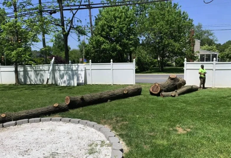 Reliable garden landscaping with custom design in Coatesville, PA by TLC Tree & Landscaping Care