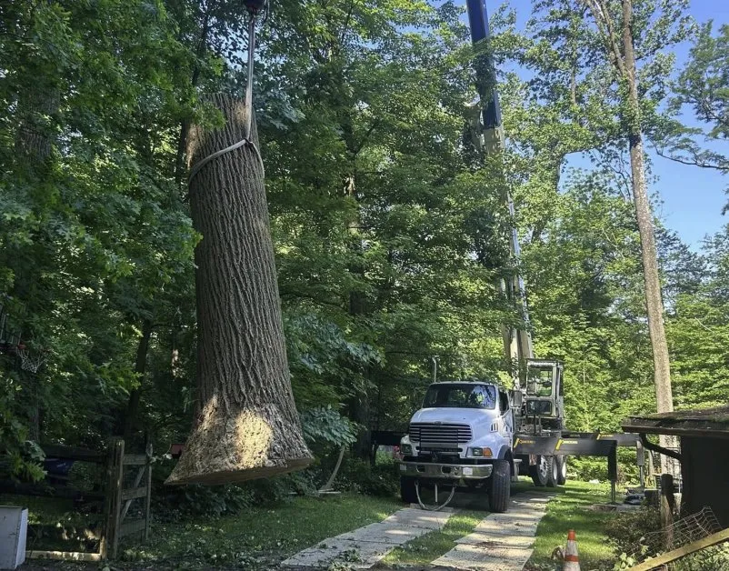 Reliable residential landscaping experts serving Coatesville, PA - TLC Tree & Landscaping Care