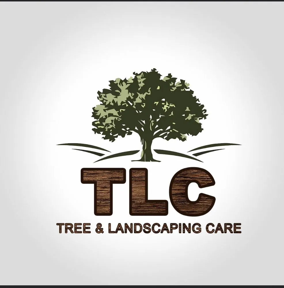 Professional yard cleanup service in Coatesville, PA by TLC Tree & Landscaping Care
