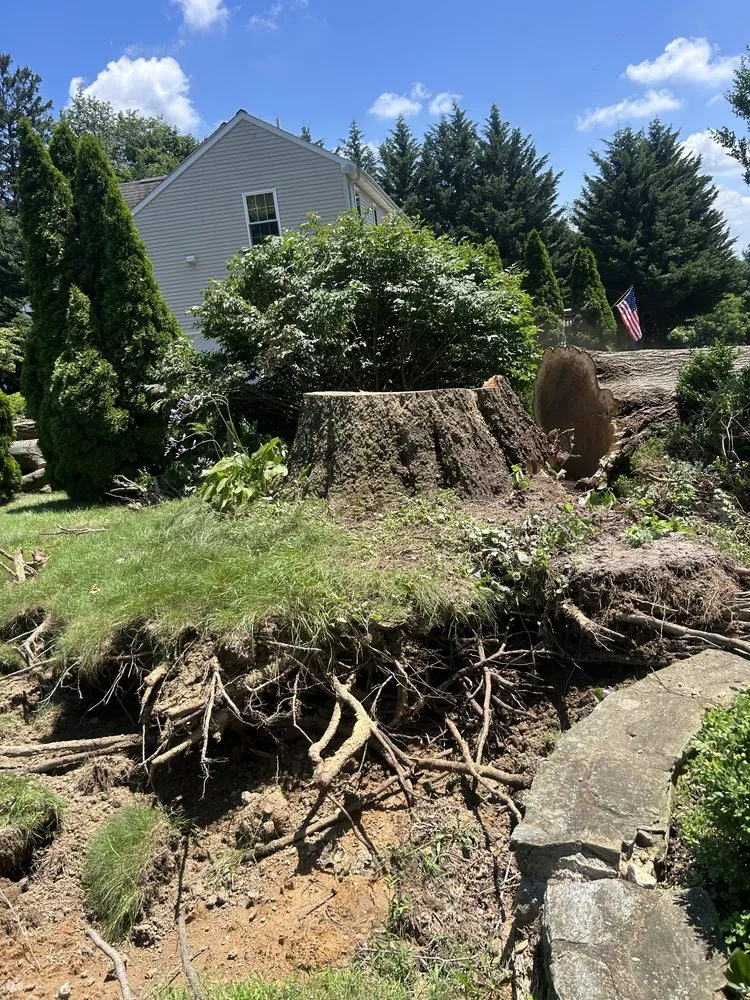 Trusted garden landscaping for beautiful yards in Coatesville, PA by TLC Tree & Landscaping Care