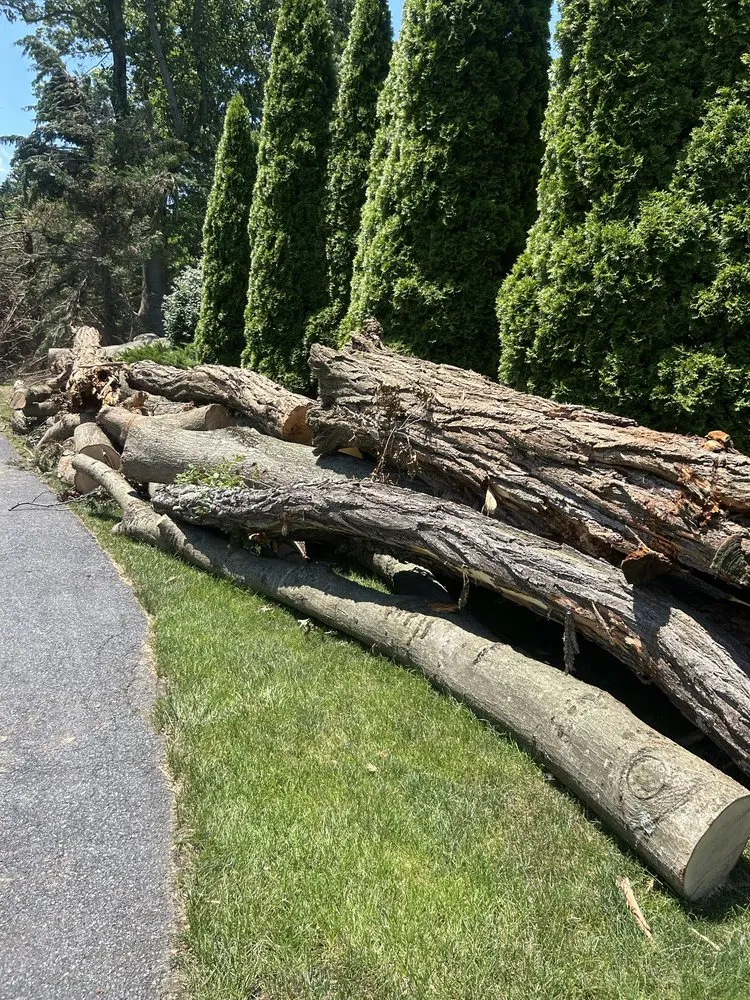 Reliable yard maintenance for homes in Coatesville, PA by TLC Tree & Landscaping Care