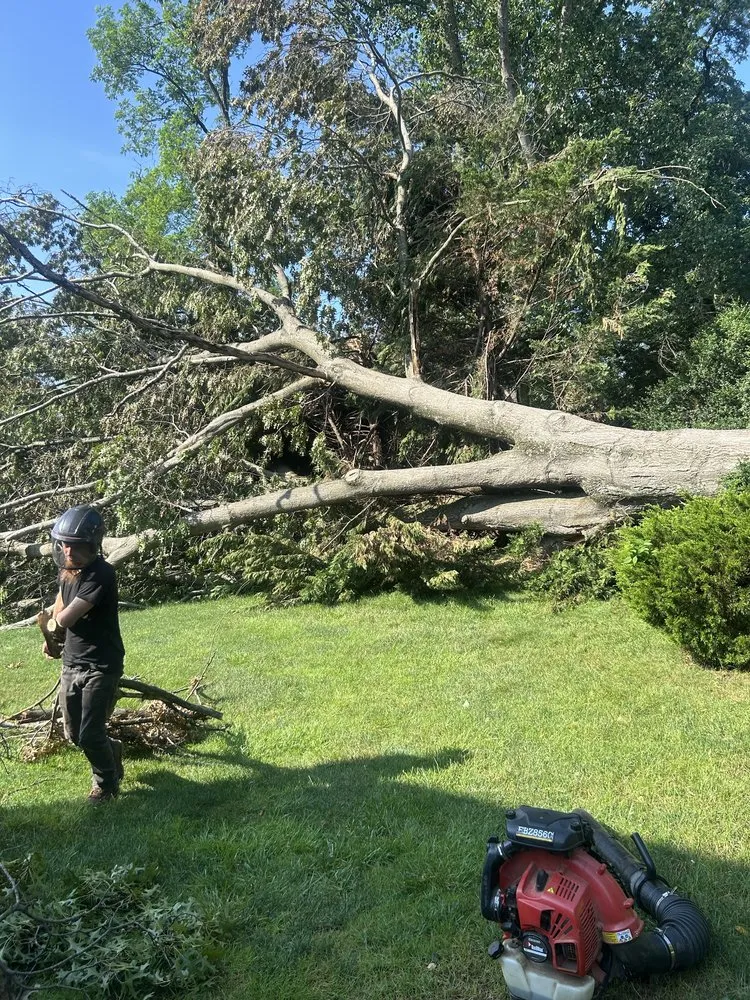 Top-rated lawn care service in Coatesville, PA by TLC Tree & Landscaping Care