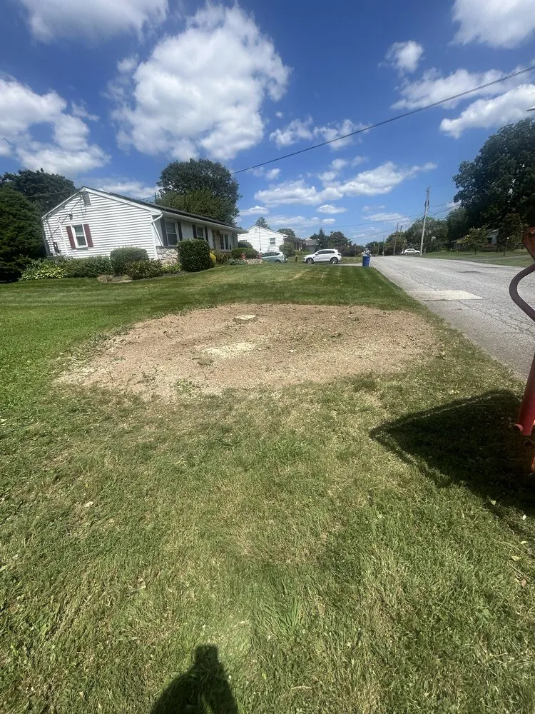 Professional lawn care service in Coatesville, PA - TLC Tree & Landscaping Care