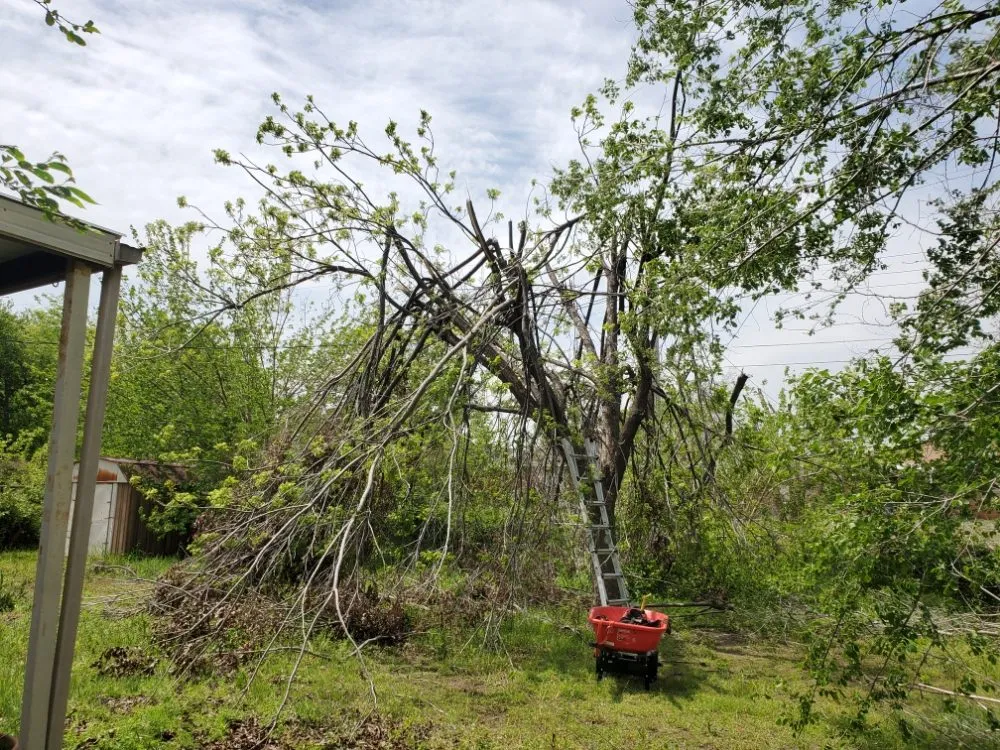 Top-rated lawn care service with custom design in Oklahoma City, OK by TLC Tree & Lawn Care