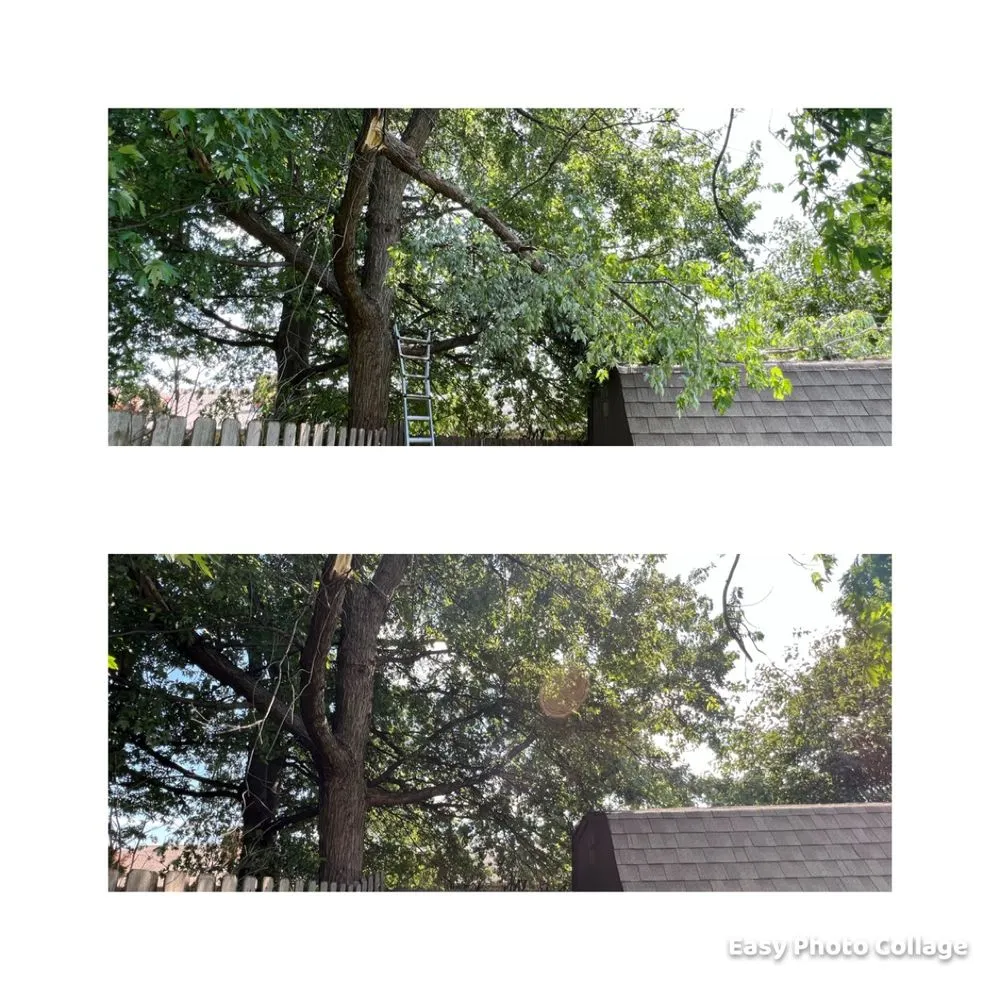 Local landscaping services in Oklahoma City, OK by TLC Tree & Lawn Care