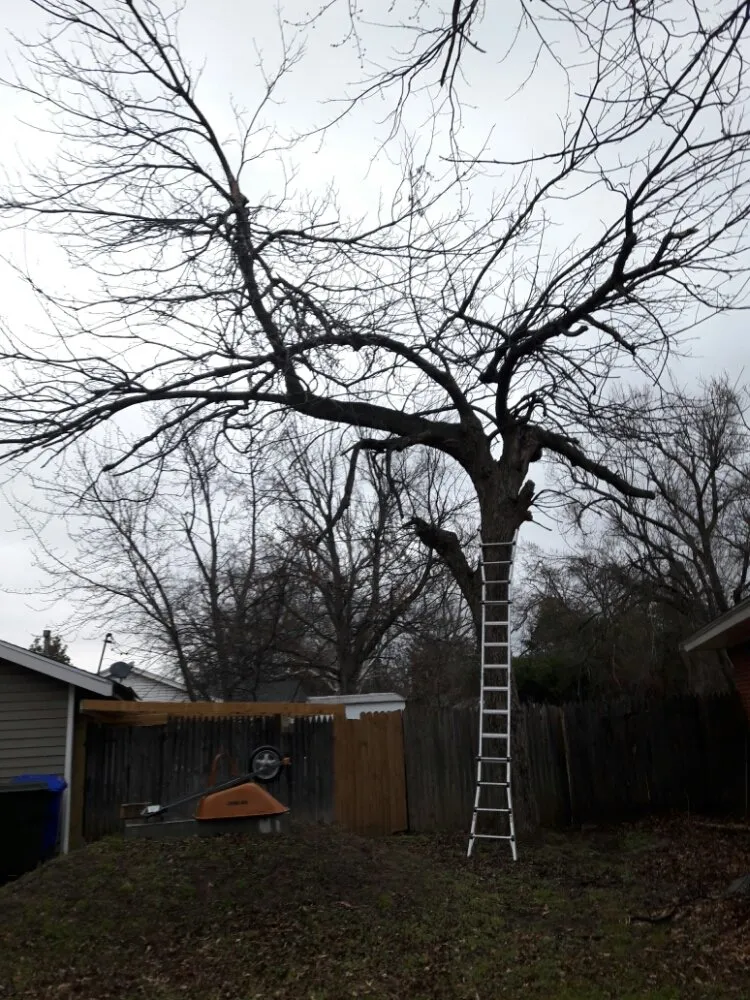 Local residential landscaping experts serving Oklahoma City, OK - TLC Tree & Lawn Care