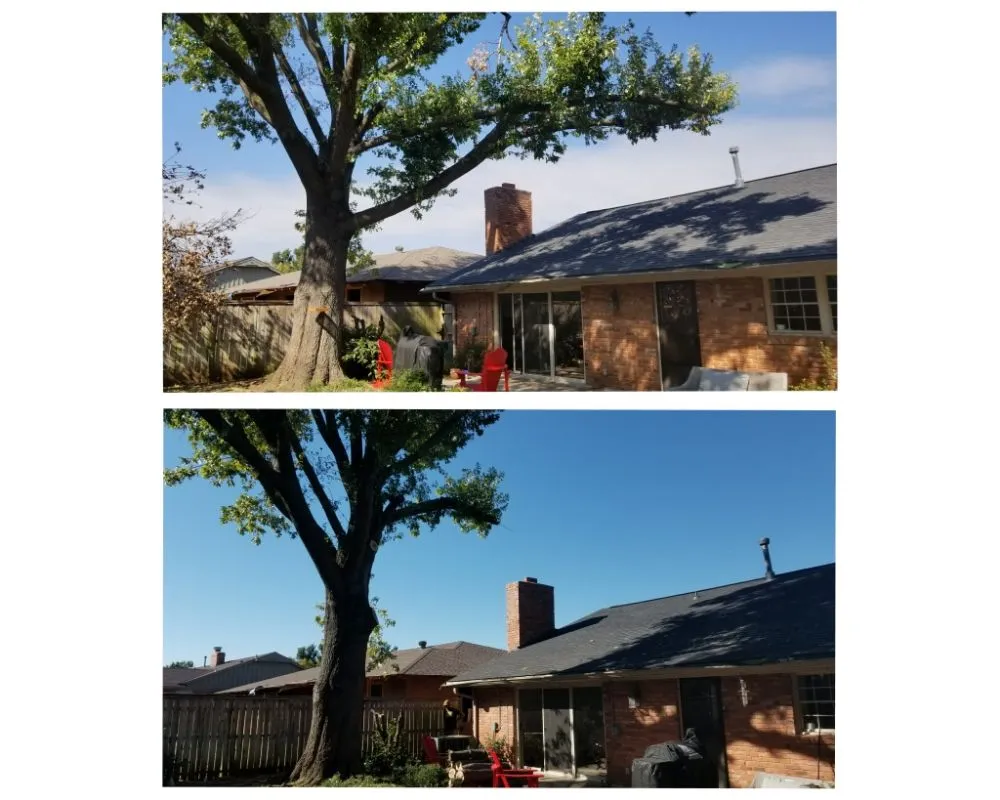 Affordable landscape design experts serving Oklahoma City, OK - TLC Tree & Lawn Care