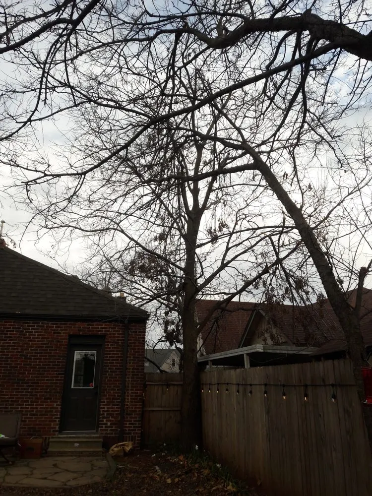 Affordable lawn care service experts serving Oklahoma City, OK - TLC Tree & Lawn Care