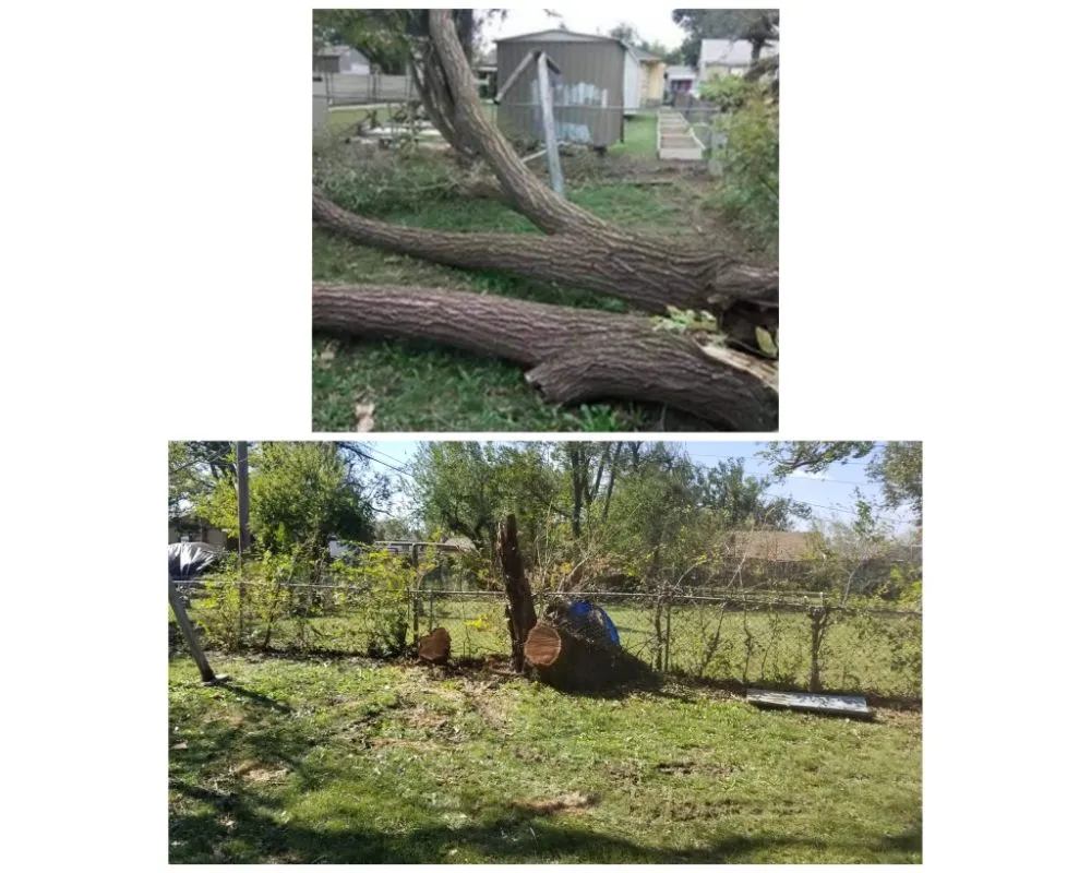 Local outdoor landscaping in Oklahoma City, OK by TLC Tree & Lawn Care