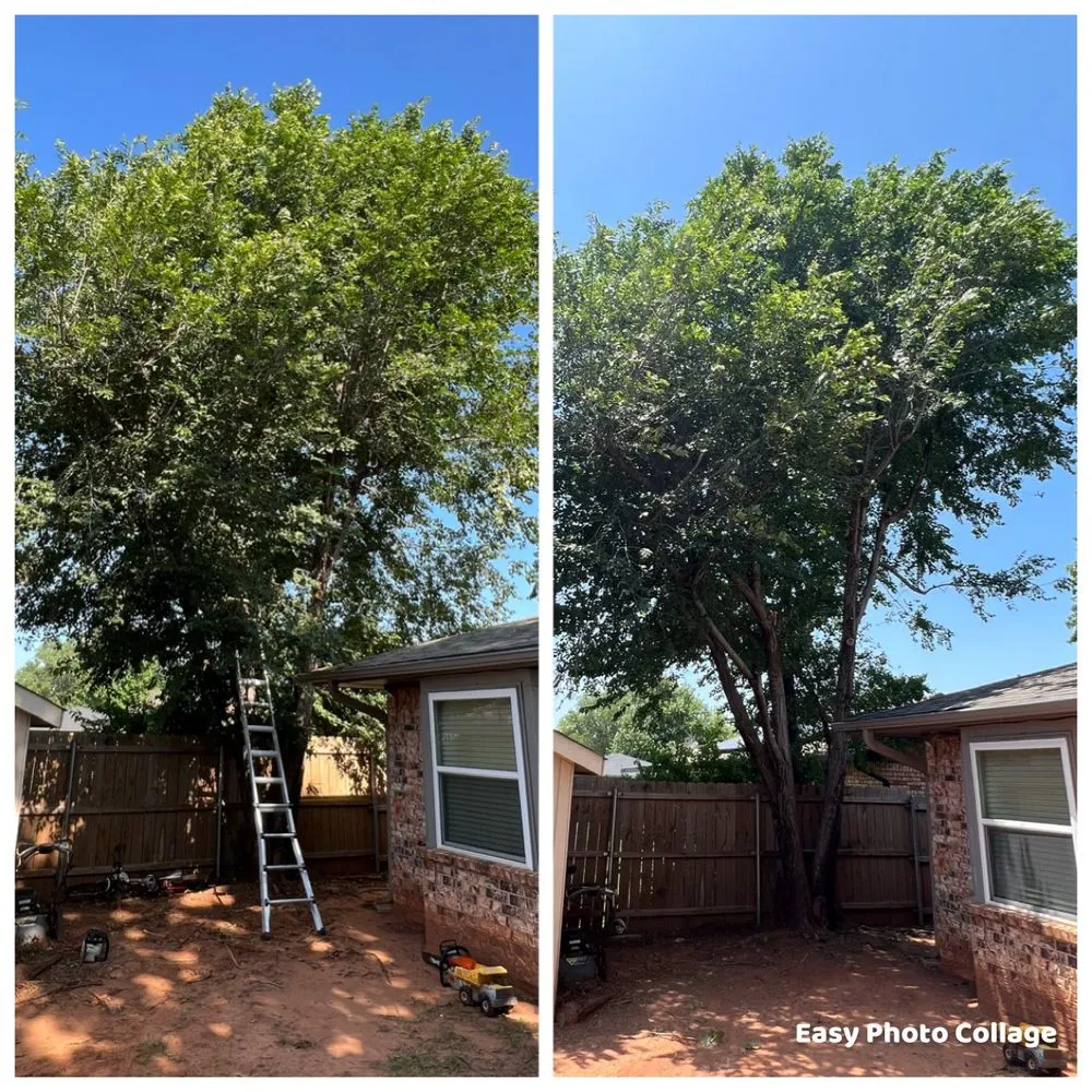 Trusted lawn mowing service in Oklahoma City, OK by TLC Tree & Lawn Care