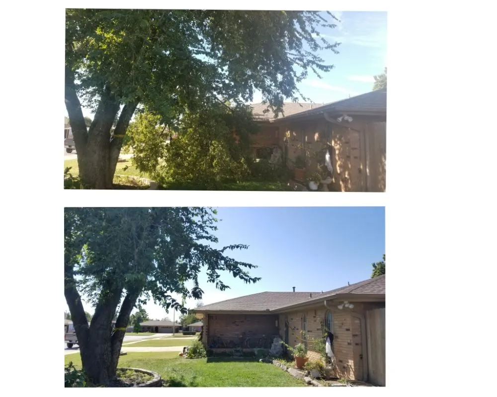 Reliable landscape design for residential properties across Oklahoma City, OK - TLC Tree & Lawn Care