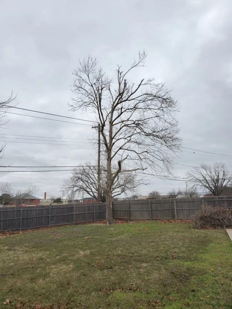 Top-rated residential landscaping in Oklahoma City, OK by TLC Tree & Lawn Care