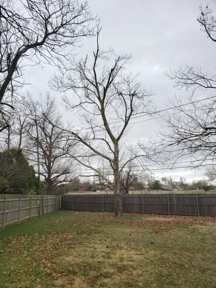 Custom outdoor landscaping for residential properties across Oklahoma City, OK - TLC Tree & Lawn Care