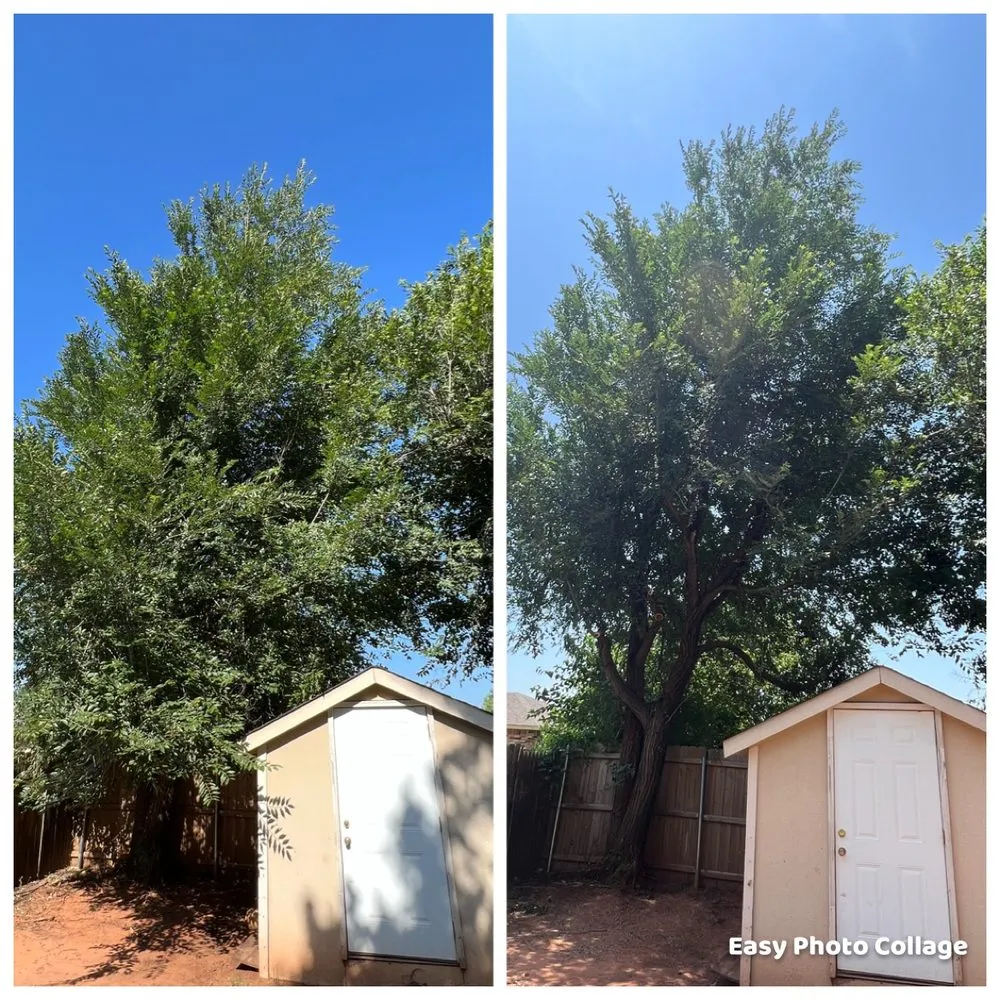 Trusted lawn mowing service in Oklahoma City, OK - TLC Tree & Lawn Care