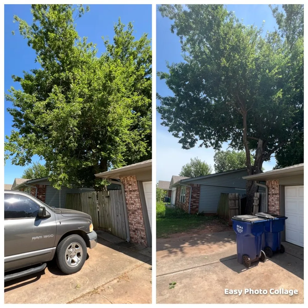 Top-rated yard cleanup service near you in Oklahoma City, OK by TLC Tree & Lawn Care