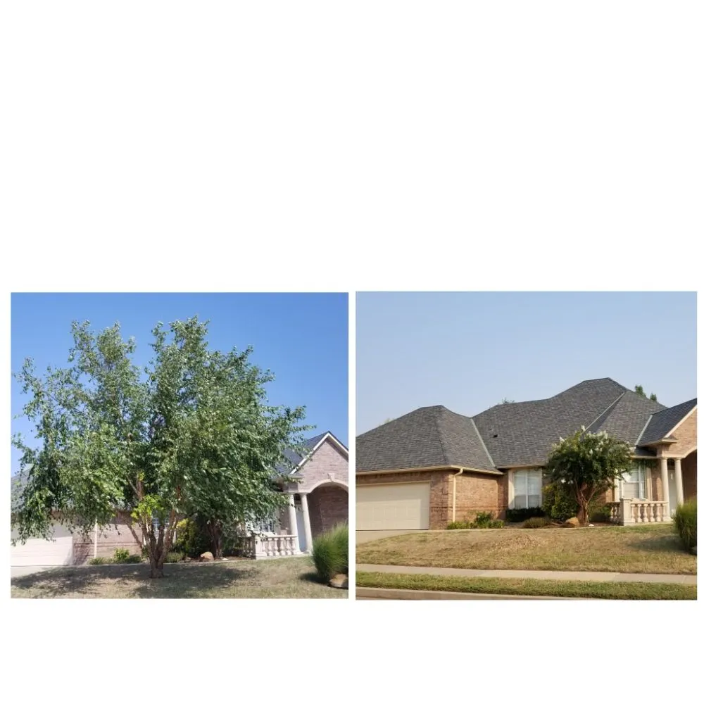 Local residential landscaping in Oklahoma City, OK by TLC Tree & Lawn Care
