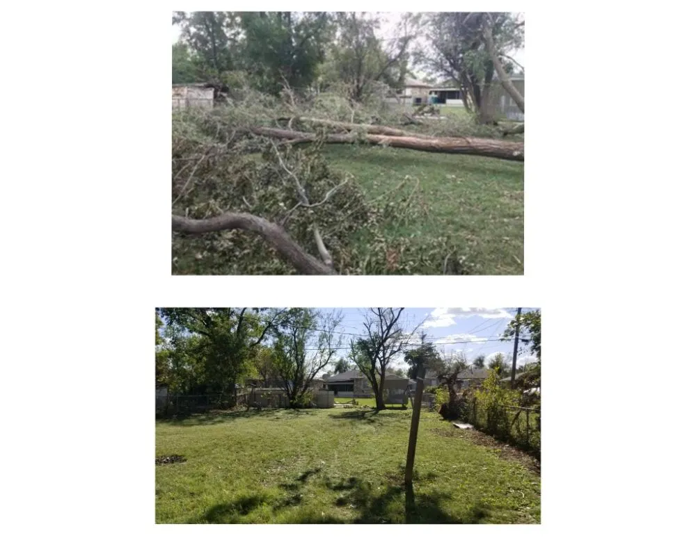 Top-rated yard cleanup service in Oklahoma City, OK - TLC Tree & Lawn Care