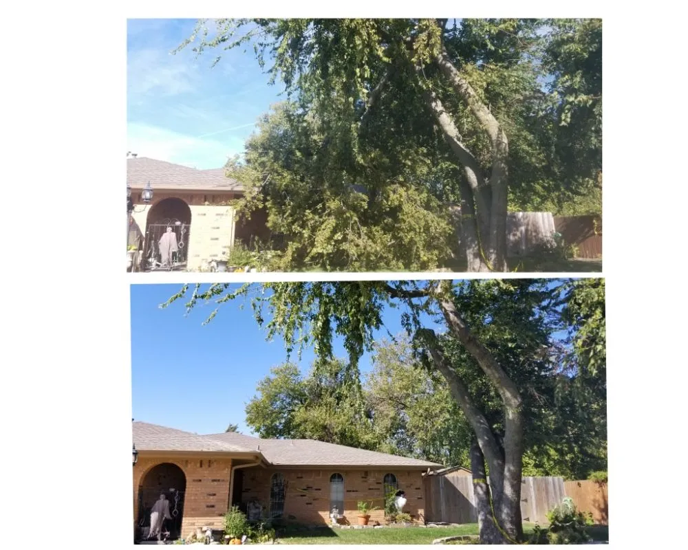 Custom yard cleanup service in Oklahoma City, OK - TLC Tree & Lawn Care