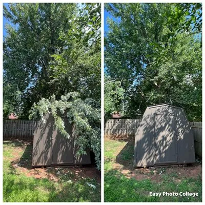 TLC Tree & Lawn Care Logo