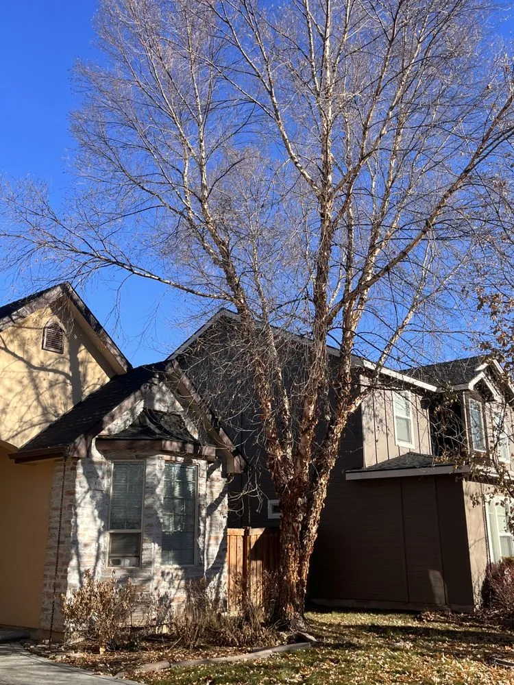 Affordable landscaping services in Meridian, ID by Tlc Tree and Landscape Consulting