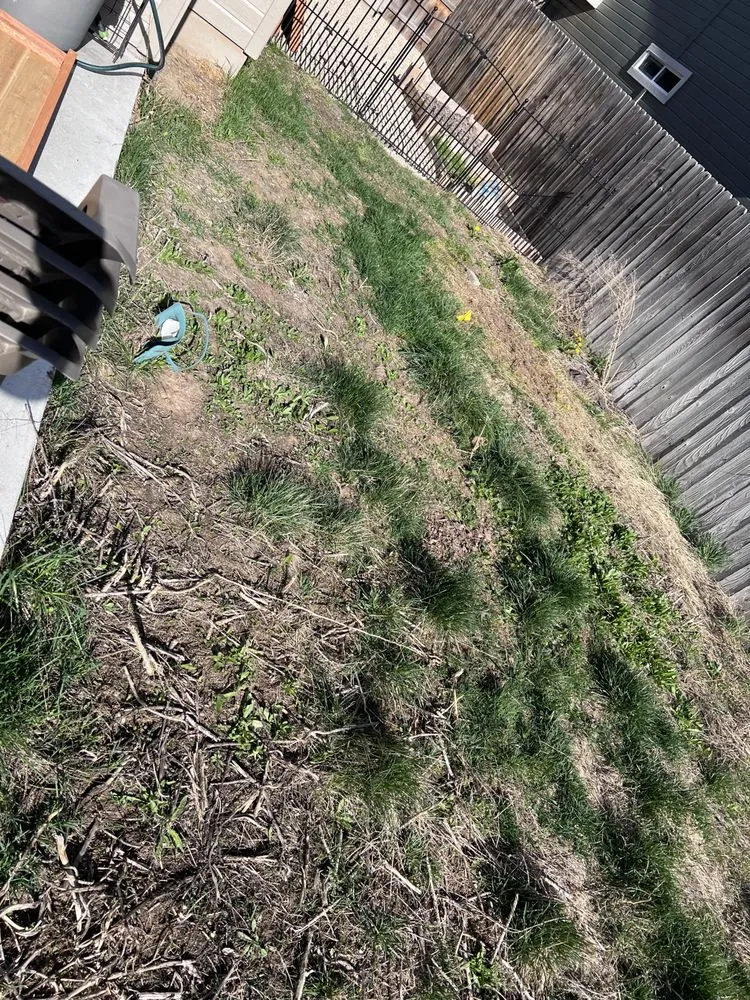 Trusted residential landscaping in Meridian, ID - Tlc Tree and Landscape Consulting