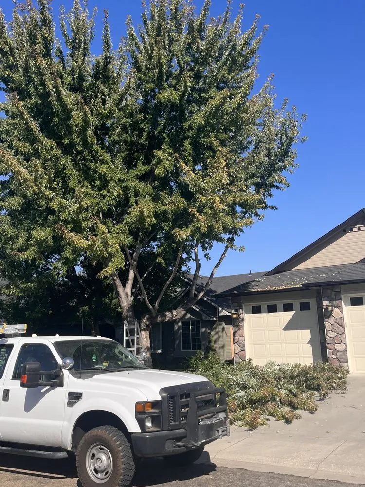 Top-rated garden landscaping for beautiful yards across Meridian, ID - Tlc Tree and Landscape Consulting