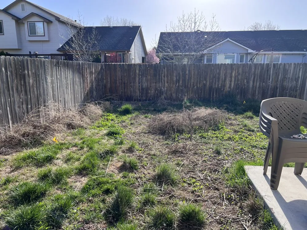Expert lawn care service in Meridian, ID - Tlc Tree and Landscape Consulting