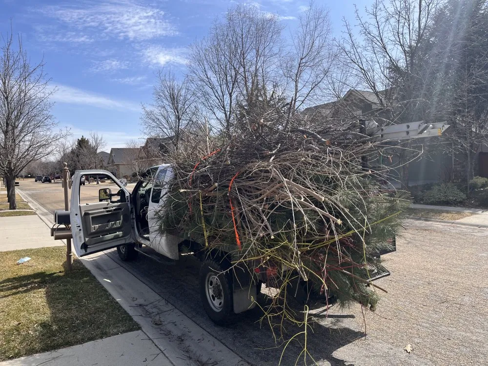 Top-rated yard maintenance for beautiful yards across Meridian, ID - Tlc Tree and Landscape Consulting