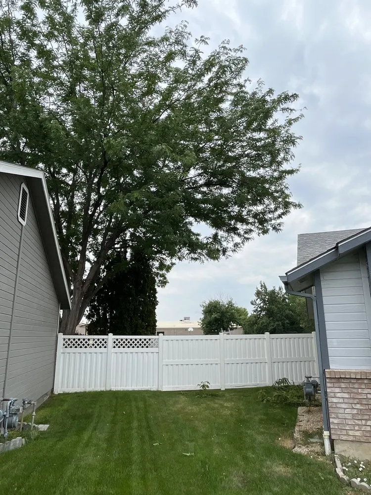 Top-rated yard maintenance for year-round maintenance in Meridian, ID by Tlc Tree and Landscape Consulting