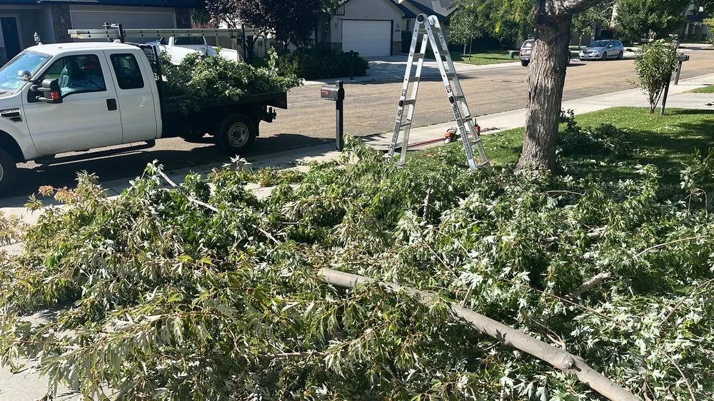Reliable outdoor landscaping experts serving Meridian, ID - Tlc Tree and Landscape Consulting